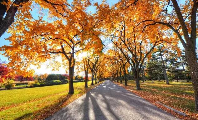 原创｜烟台一年最嗨的日子来了！即将开海，这些图却火了