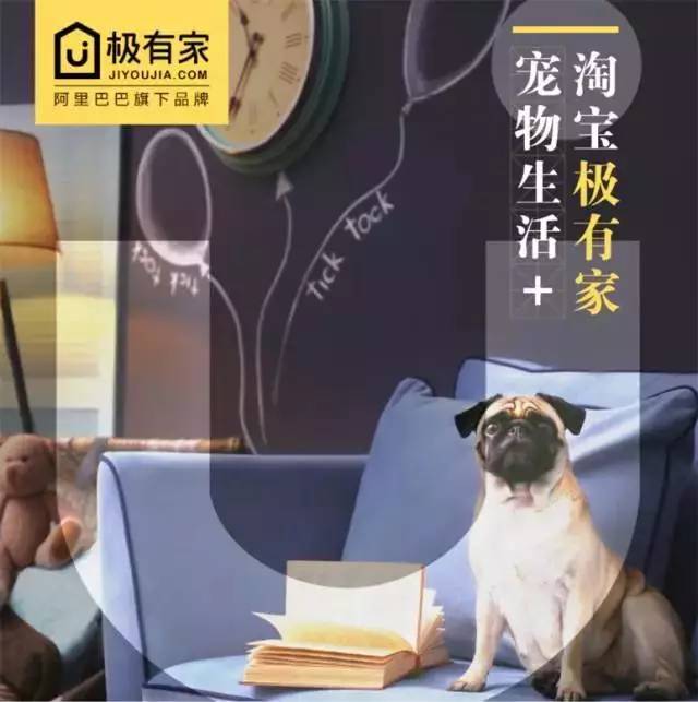 「福利」这周末有一场和宠物的约会等你来，小布送票送助攻→