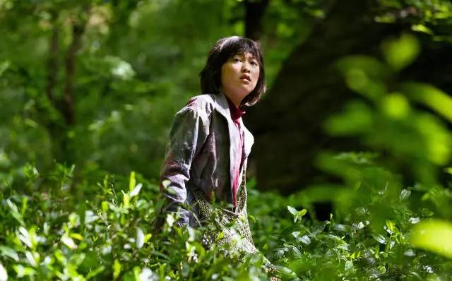 玉子深度解析,玉子讲了什么