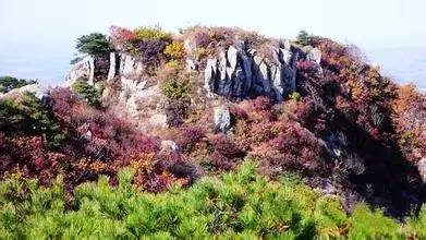 原创｜烟台一年最嗨的日子来了！即将开海，这些图却火了