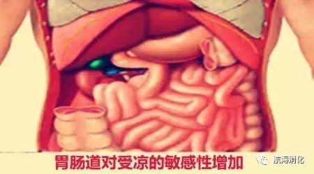 你的肠胃有问题,你的肠胃真的健康吗