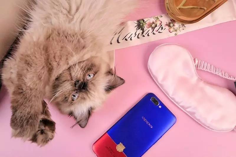 深扒杨幂胡歌,深扒杨幂20年演艺历程