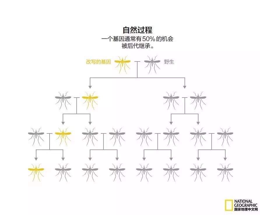人类发明的新技术,人类新科技技术
