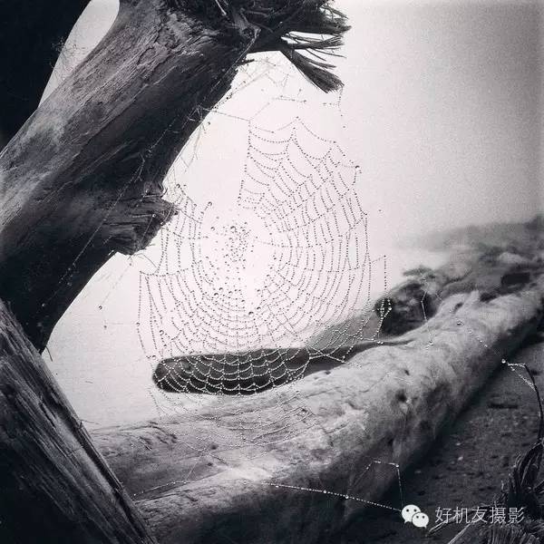 1分钟轻松搞定8个手机摄影技巧,想学一点入门的手机摄影技巧