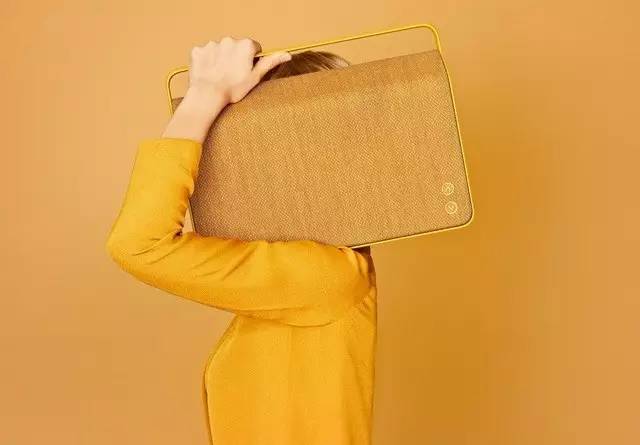 顶级丹麦汽车音响,顶级双扬声器音箱