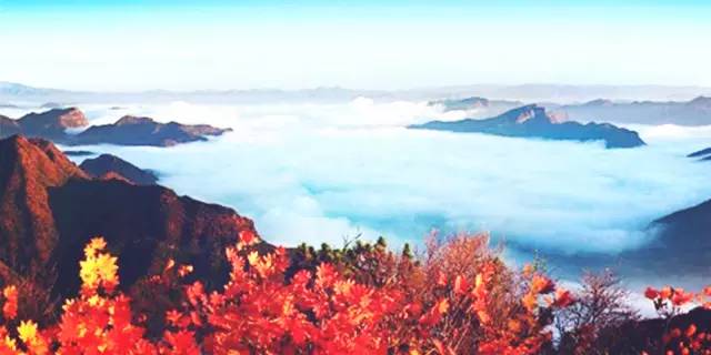 沈阳最美赏枫地最新开放,沈阳附近赏枫