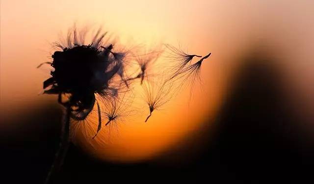 2018海底捞企业危机事件,2017海底捞信誉危机事件