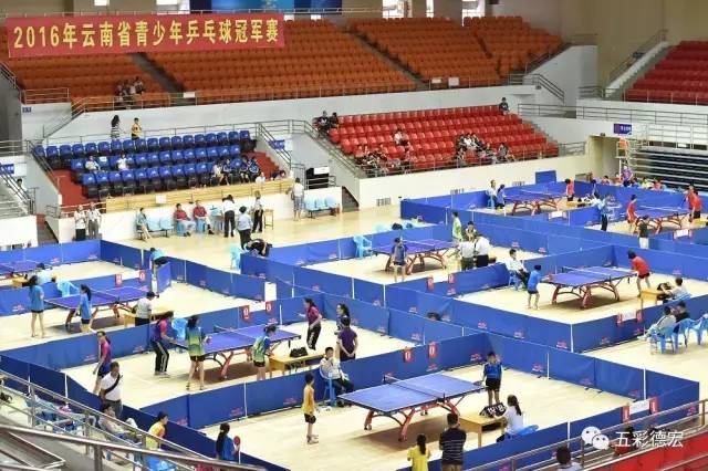 点赞!近几年德宏体育工作成绩太板扎!