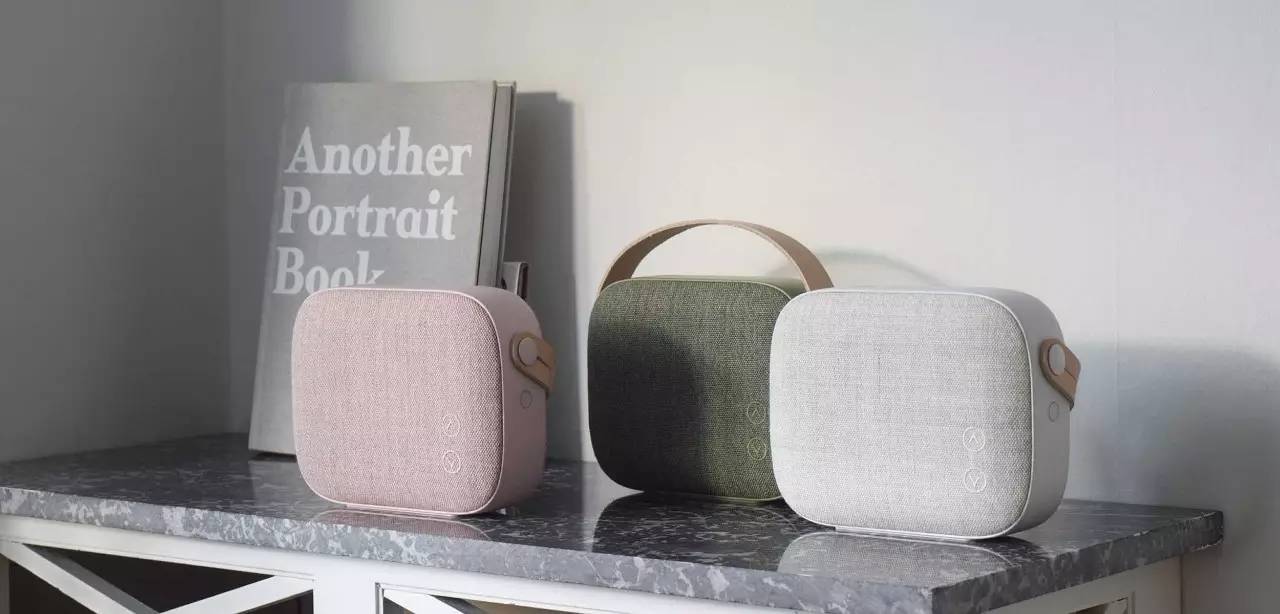 顶级丹麦汽车音响,顶级双扬声器音箱