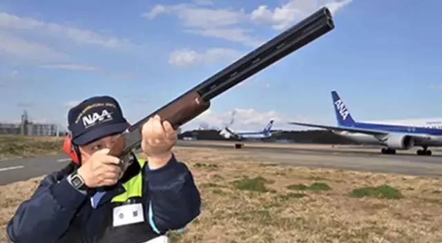 日本航空ja350号班机坠毁事件,日本航空jal123航班空难