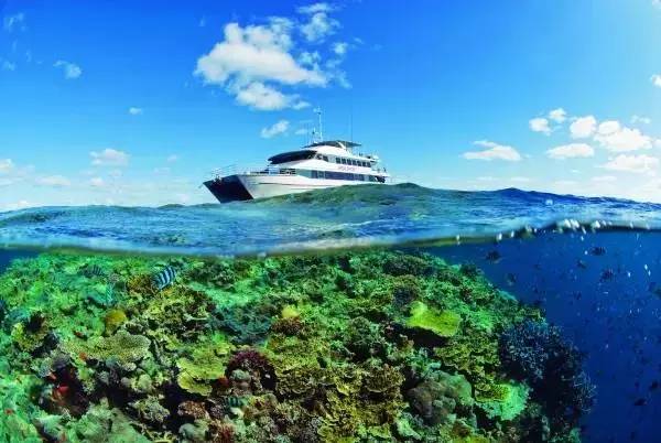 从入门级到朝圣级，职业潜水教练告诉你船宿该怎么选