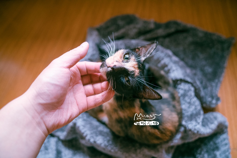 豆瓣日记10月,豆瓣日记