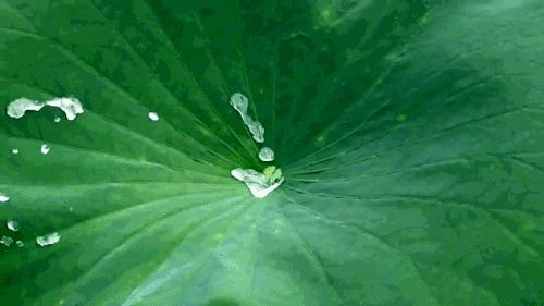 神仙水可以用来当防晒吗,神仙水防晒霜一起用