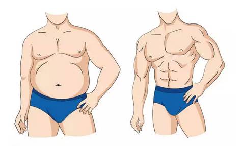 把运动裤穿成秋裤的胖子,还有救吗?|小姐姐门诊