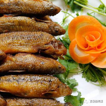 头条丨大家好!我叫巴马,这是我的简历,请多多关照!