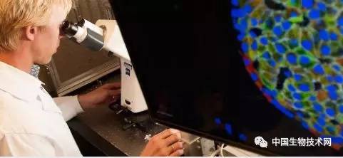 常用防腐抗菌成分会使细胞失能并影响激素反应