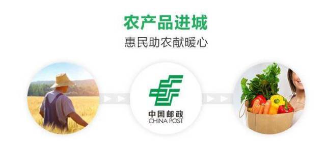 邮乐919启动,邮乐919购物节直播