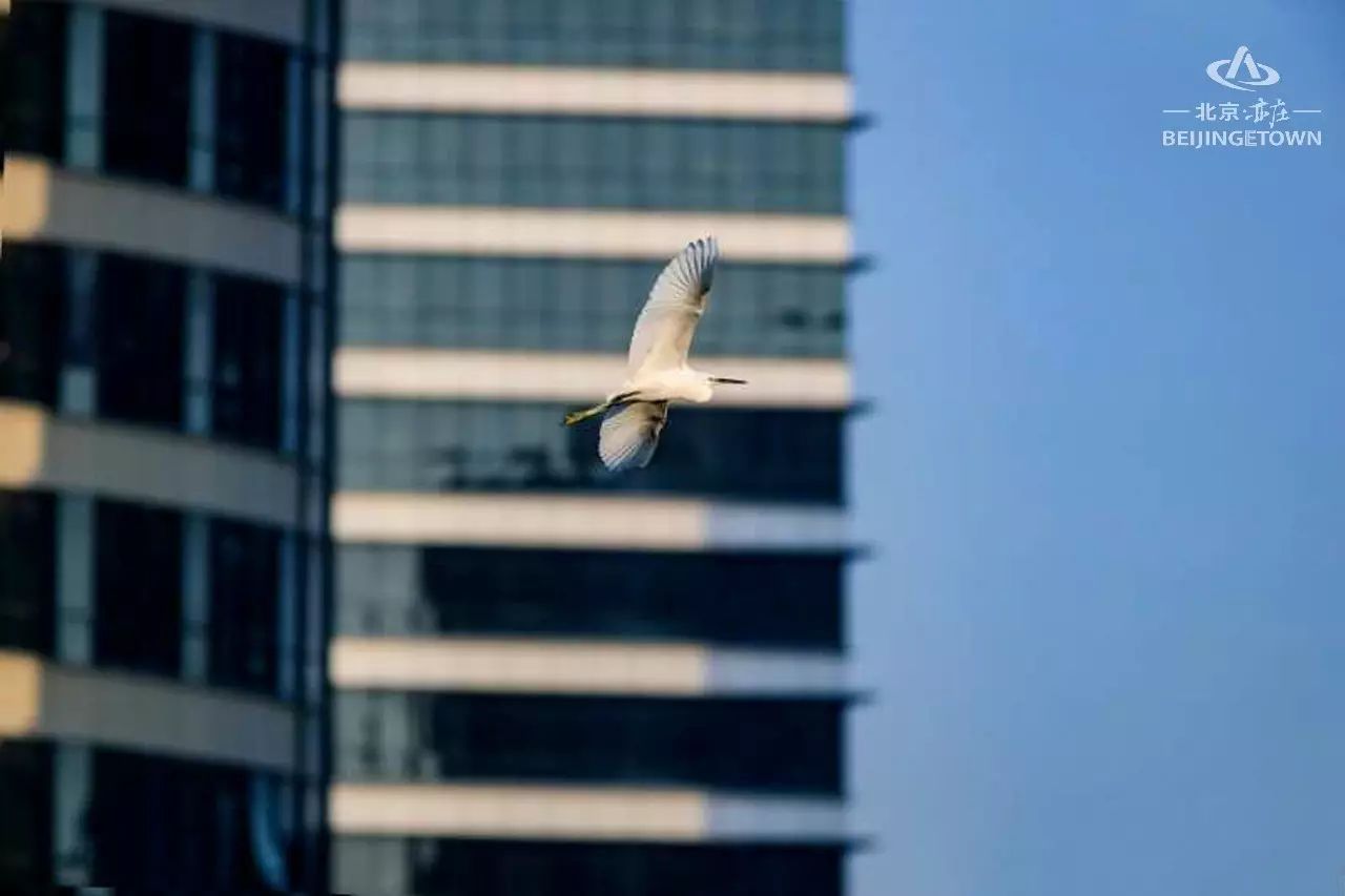 快来领取你的可爱姓氏壁纸,免费领取动态热门主题壁纸