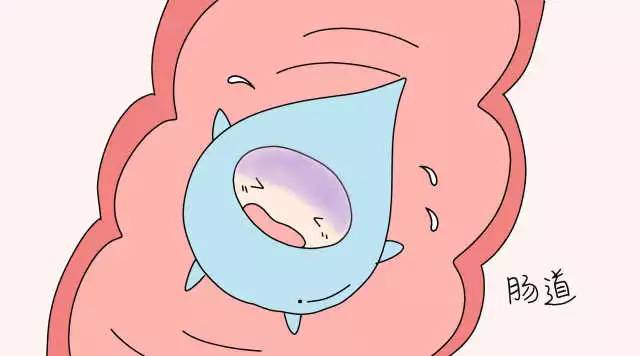 乳糖不耐受能不能喝金典纯牛奶,乳糖不耐受的人一定不能喝牛奶吗