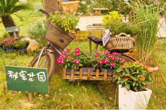 想做一家农场,有机农场和生态农场的区别