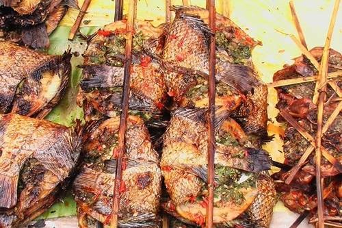 秋色正好邂逅大美河口,美丽的河口一日游