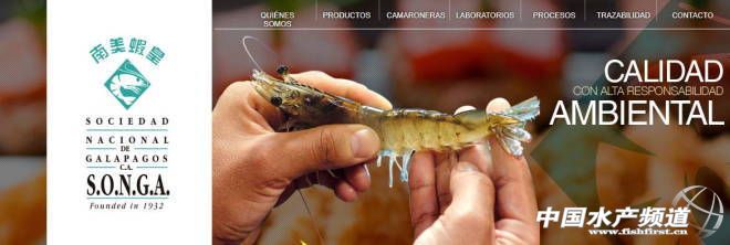 市场上厄瓜多尔白虾是真的吗,厄瓜多尔白虾还会落价么