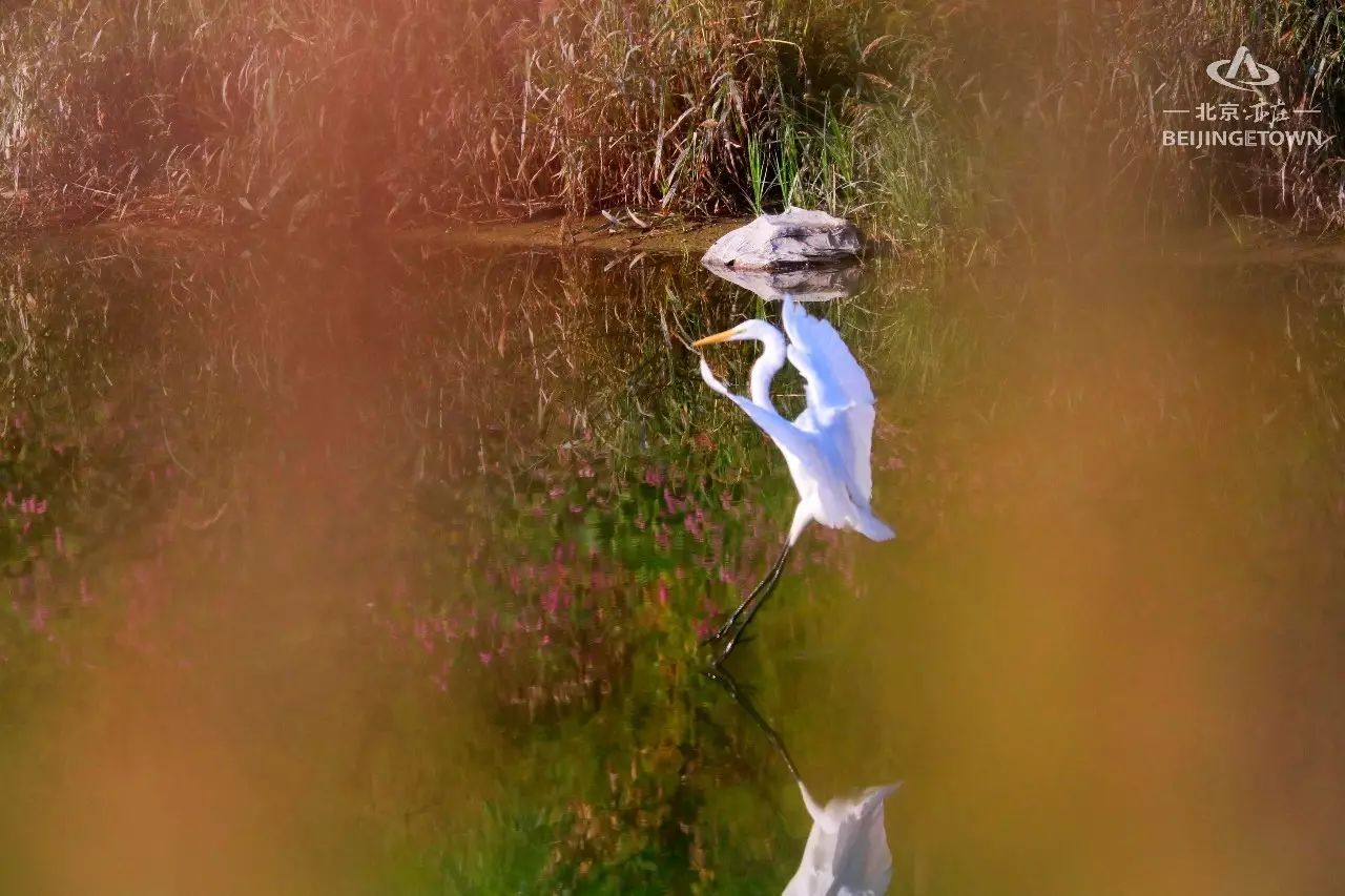 快来领取你的可爱姓氏壁纸,免费领取动态热门主题壁纸