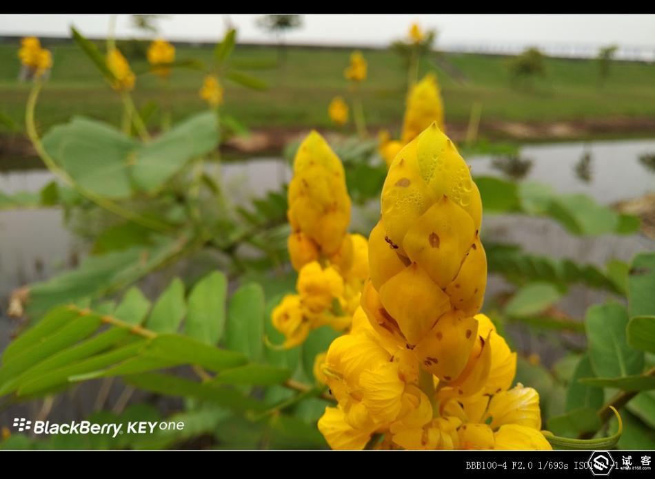 黑莓keyone滑盖,黑莓keyone测评王自如