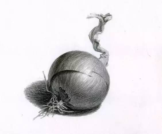 素描静物不会默写,素描不会画光影怎么办