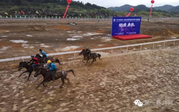 大草原传统赛马,中西结合赛马