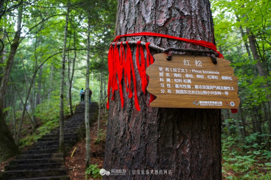 火山口探秘完整视频,镜泊湖火山口免费景点
