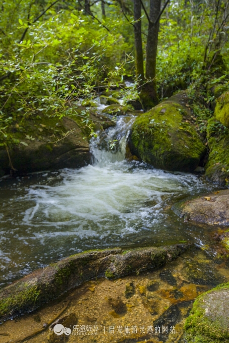 镜泊湖火山口免费景点,探秘火山