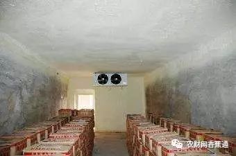 广西蕉的种类有多少,广西蕉跟云南蕉有什么区别