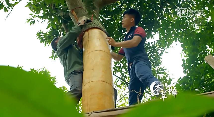 为了看这部豆瓣8.9的纪录片，我去商场买了一台4K电视