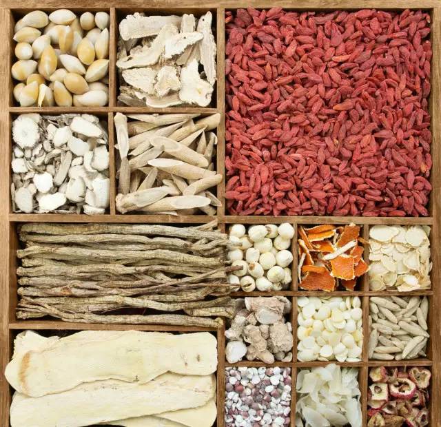 「百草园」那些“悬壶济世”的植物（二十七）罗布麻