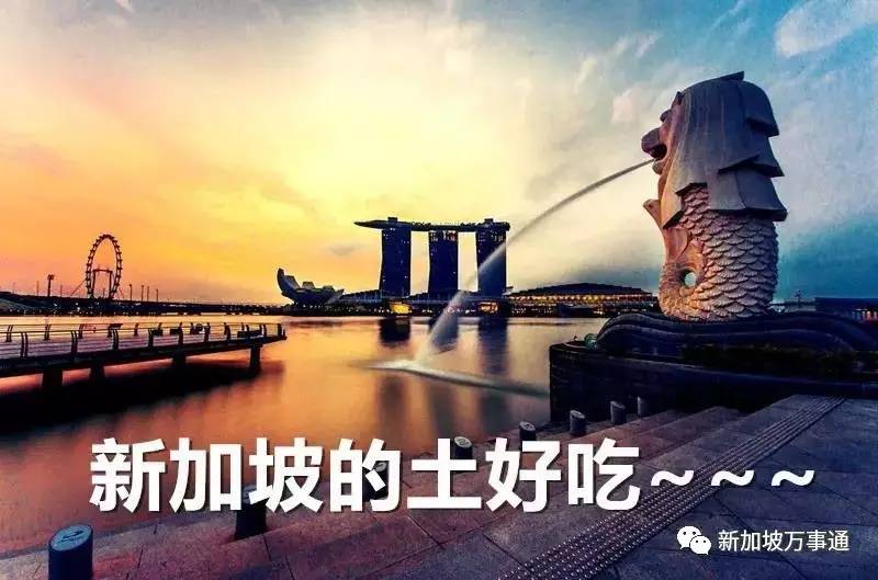 在新加坡有哪些注意事项 (新加坡最容易被问的问题)