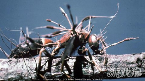 探讨：为何视频游戏痴迷世界末日题材