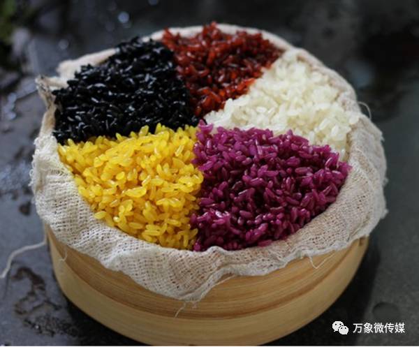 头条丨大家好！我叫巴马，这是我的简历，请多多关照！