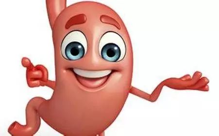 胃不好能吃榴莲吗,胃不好吃什么水果