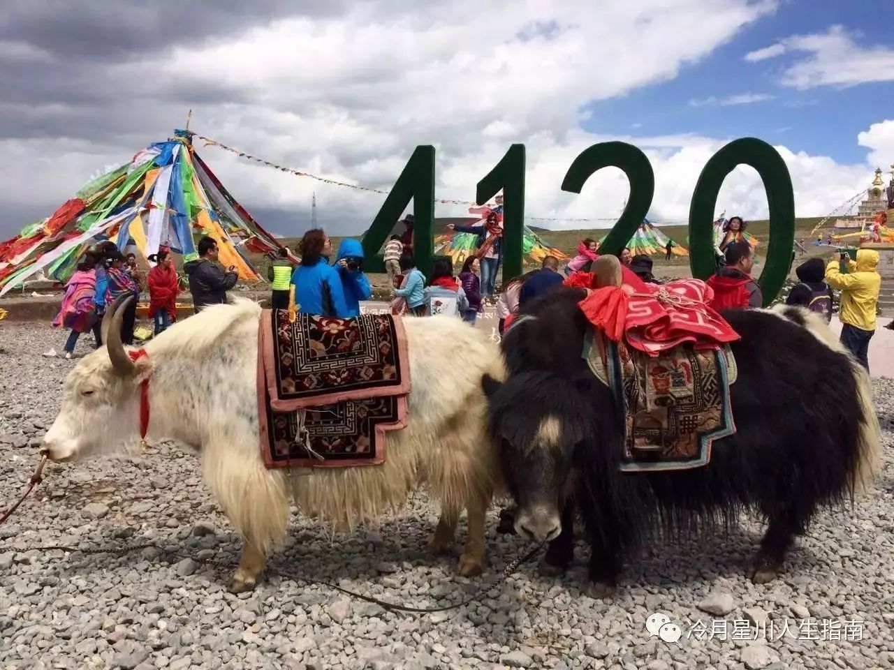 最美的敦煌游记,11月敦煌游记