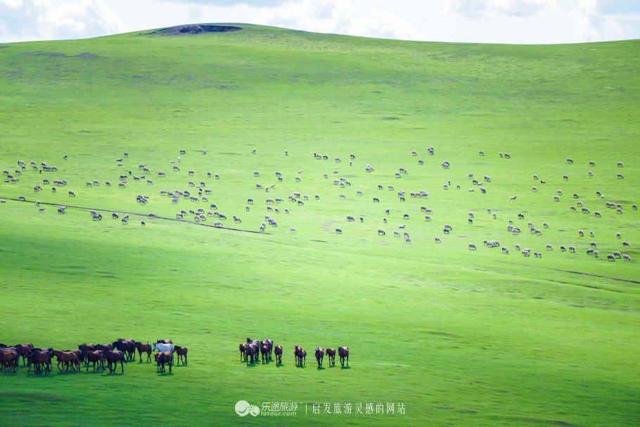 现代中国赤兔马,当代赤兔马