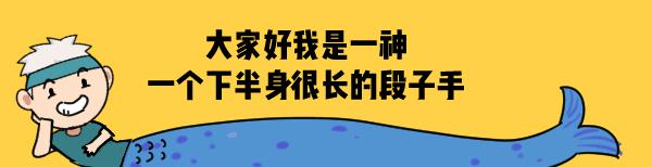 可乐会不会弄死一条鱼,可乐的可怕事实