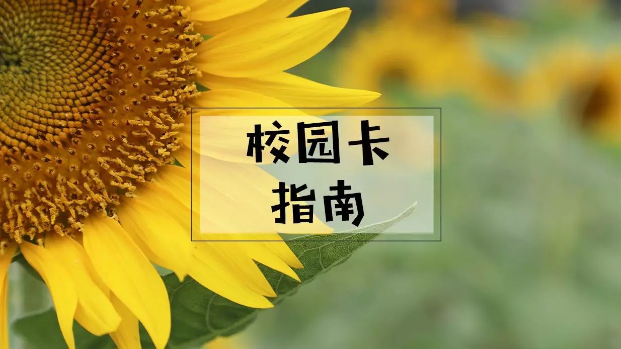 有了这张校园卡，走遍城院都不怕（内附微信充值攻略）