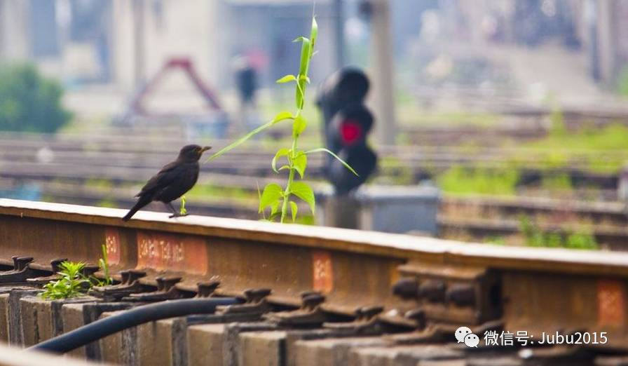 半个月的心得体会,半个月总结与心得怎么写