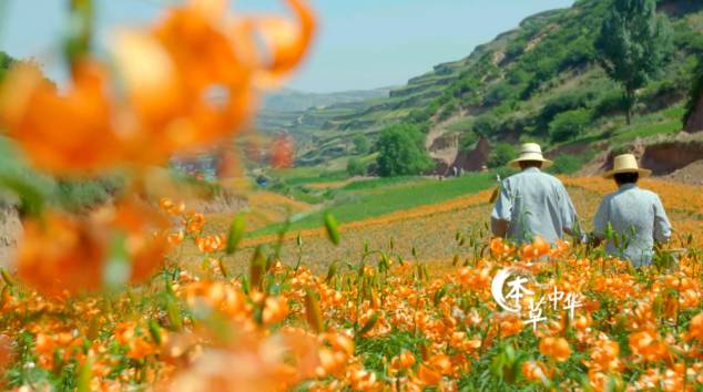 为了看这部豆瓣8.9的纪录片，我去商场买了一台4K电视