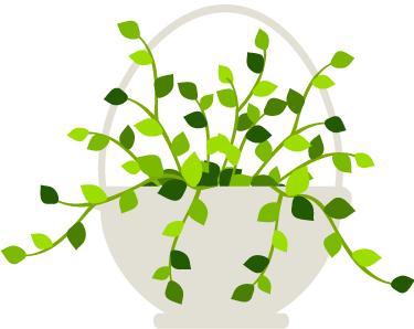 打造西安城市创新创业新品牌!“极米”“创XIAN生”来啦!