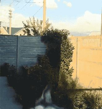 「笑多会怀孕」——一不小心滑了……