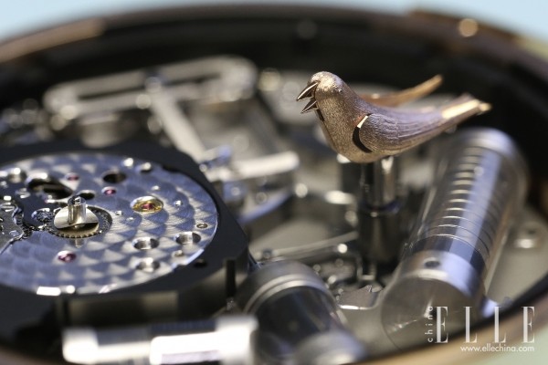 随乐而行新作品,随乐而行