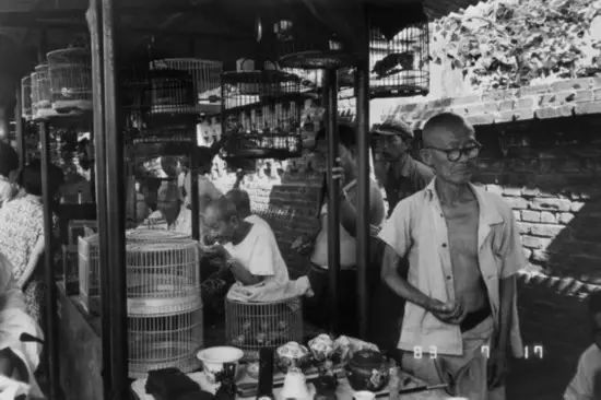 您还记得老烟台的样子吗,您还记得苏埠的老街吗