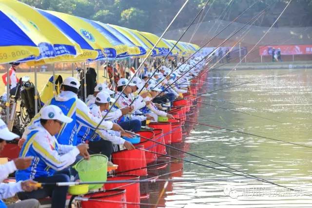 海滨温泉酒店会议,适合商务小型会议酒店